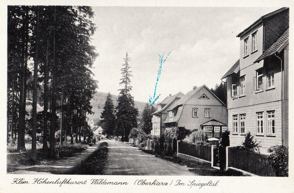 AK - Wildemann / Harz - Spiegeltal von 1949 / 1006