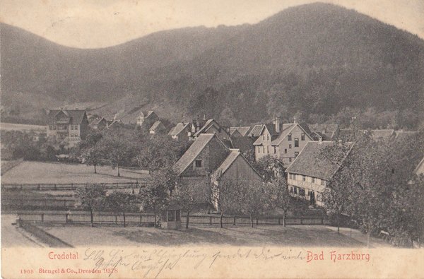 AK - Bad Harzburg / Crodotal - von 1905 / - 1137 -
