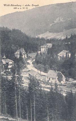 AK - Wald-Bärenburg - von 1929 / - 2022 -