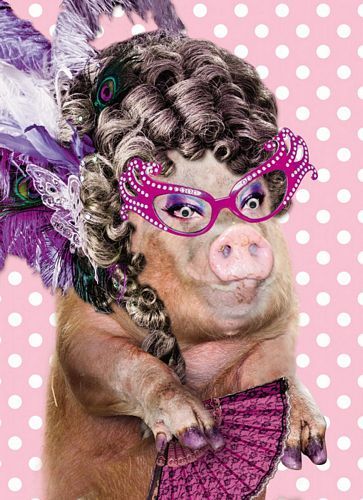 Geburtstag Humor / Grußkarte Googlies Wackelaugen / Lady PIG in Pink - 12x17cm / - 2322 -