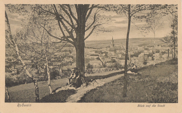 AK - Roßwein - Ortsansicht - von 1925  / - 3385 -
